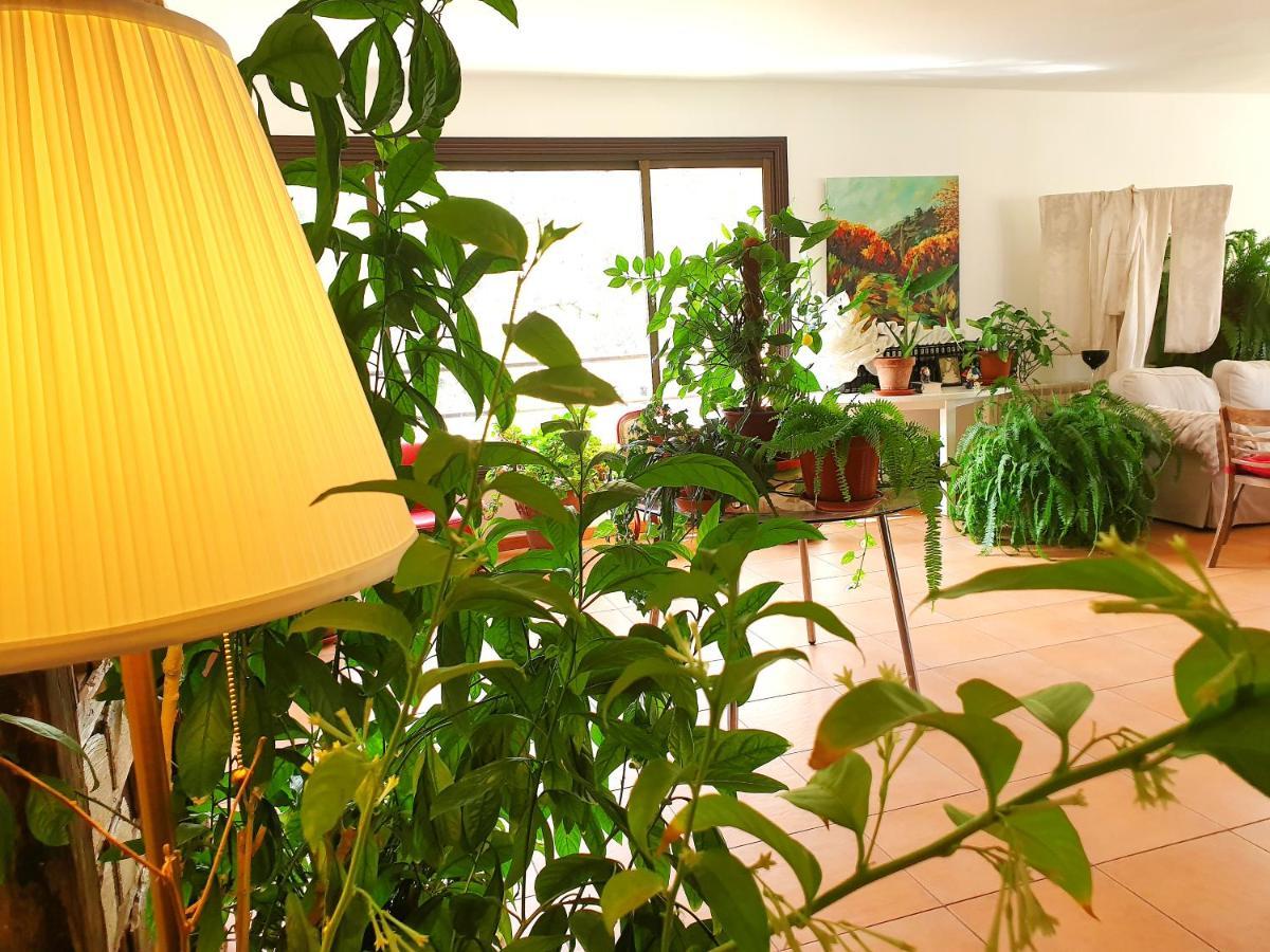 El Rincon De La Espe Hotel Albalate De Zorita Ngoại thất bức ảnh