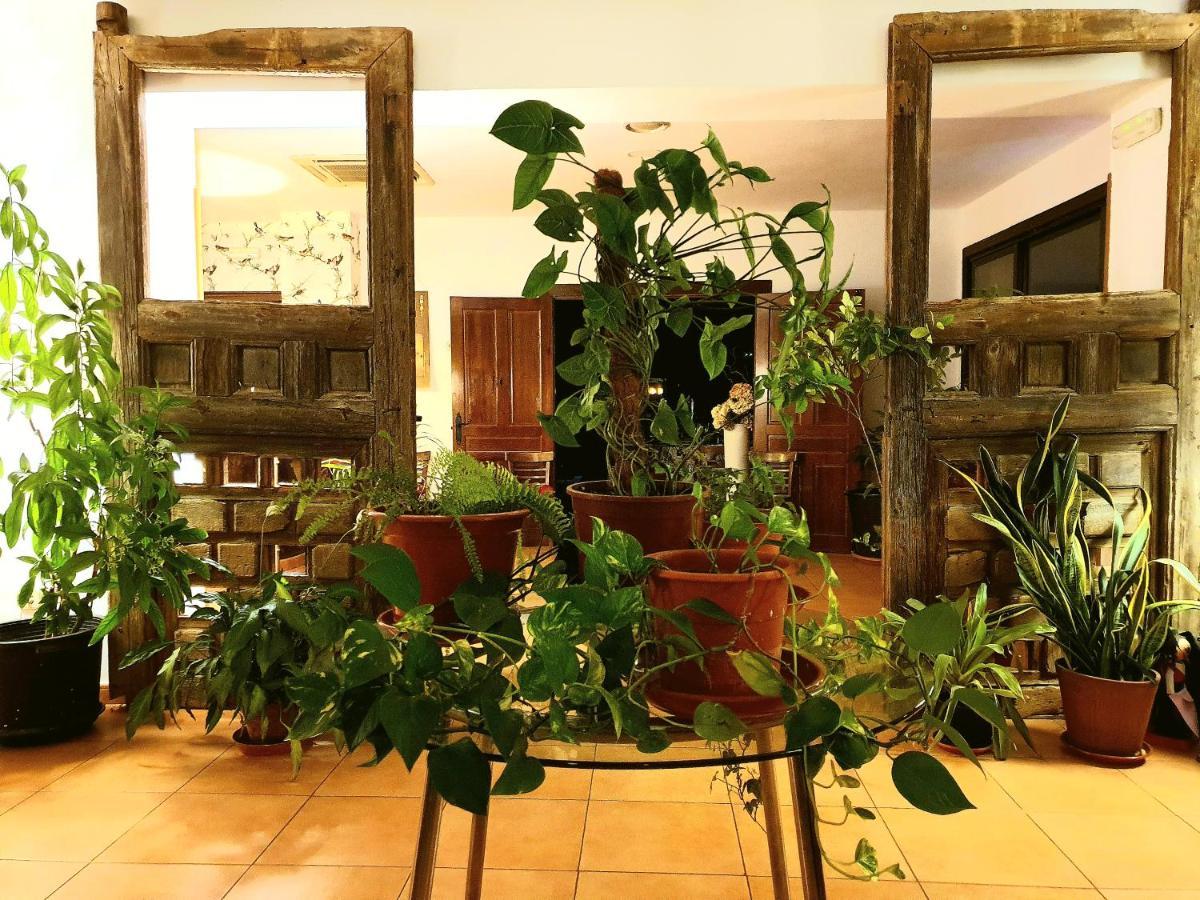 El Rincon De La Espe Hotel Albalate De Zorita Ngoại thất bức ảnh