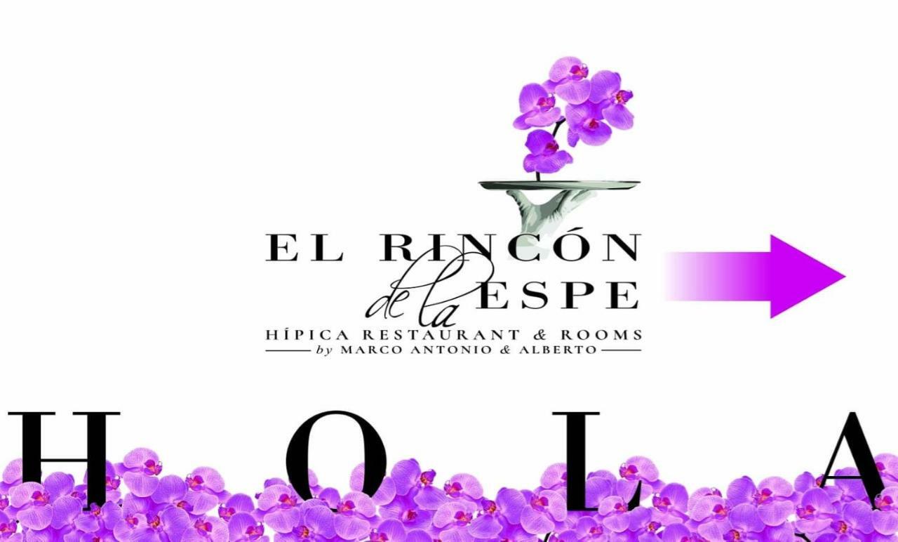 El Rincon De La Espe Hotel Albalate De Zorita Ngoại thất bức ảnh